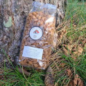 image produit Les Pâtes Conchiglie par le jardin de champignons a vittel producteur et grossiste de Shiitakes