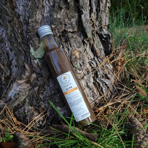 Produit La Vinaigrette SANS HUILE par le jardin de champignons a vittel producteur et grossiste de Shiitakes - Lejardindechampignons.com