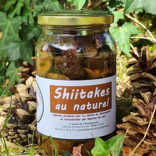 Shiitake au naturel